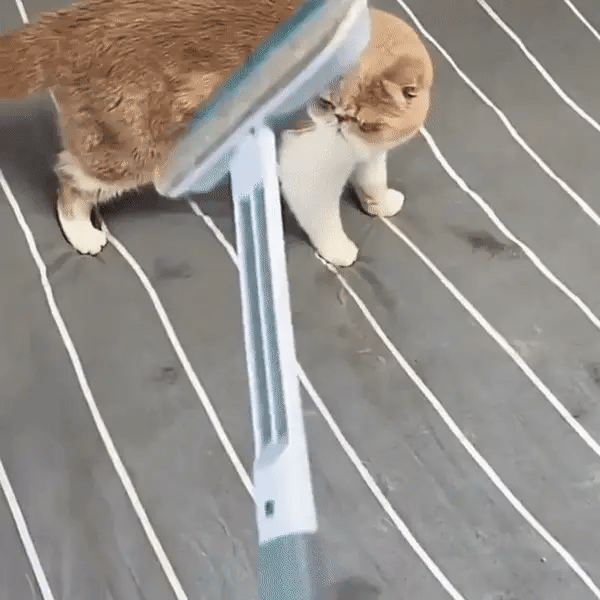 Multi-purpose Pet Hair Remover-Cat & Dog Cleaning Tool for Carpets, Rugs & Beds