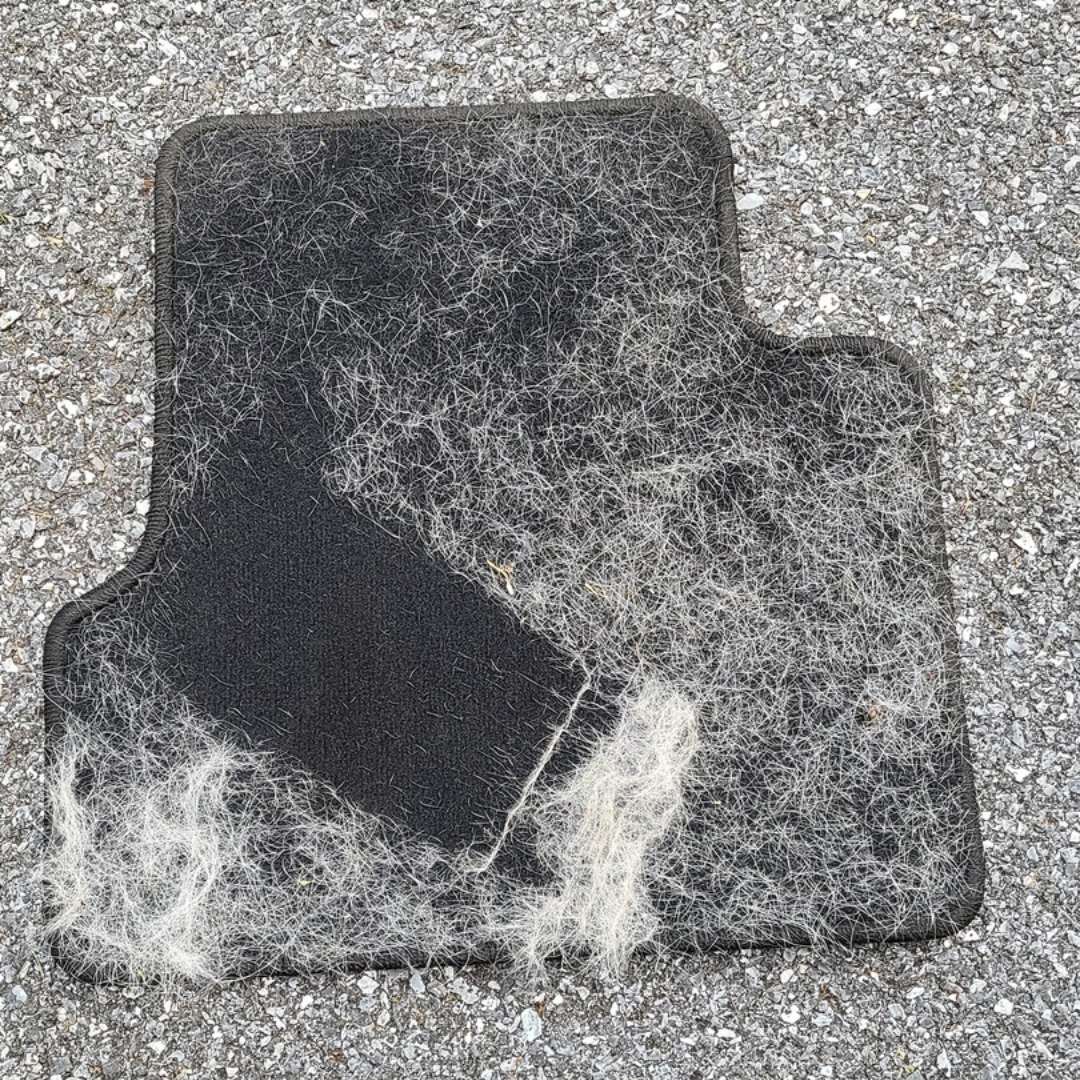 Multi-purpose Pet Hair Remover Brush-Cat & Dog Fur Lint Roller/Cleaning Tool for Carpets, Rugs & Beds, Most customers choose 2 packs for couch + car.